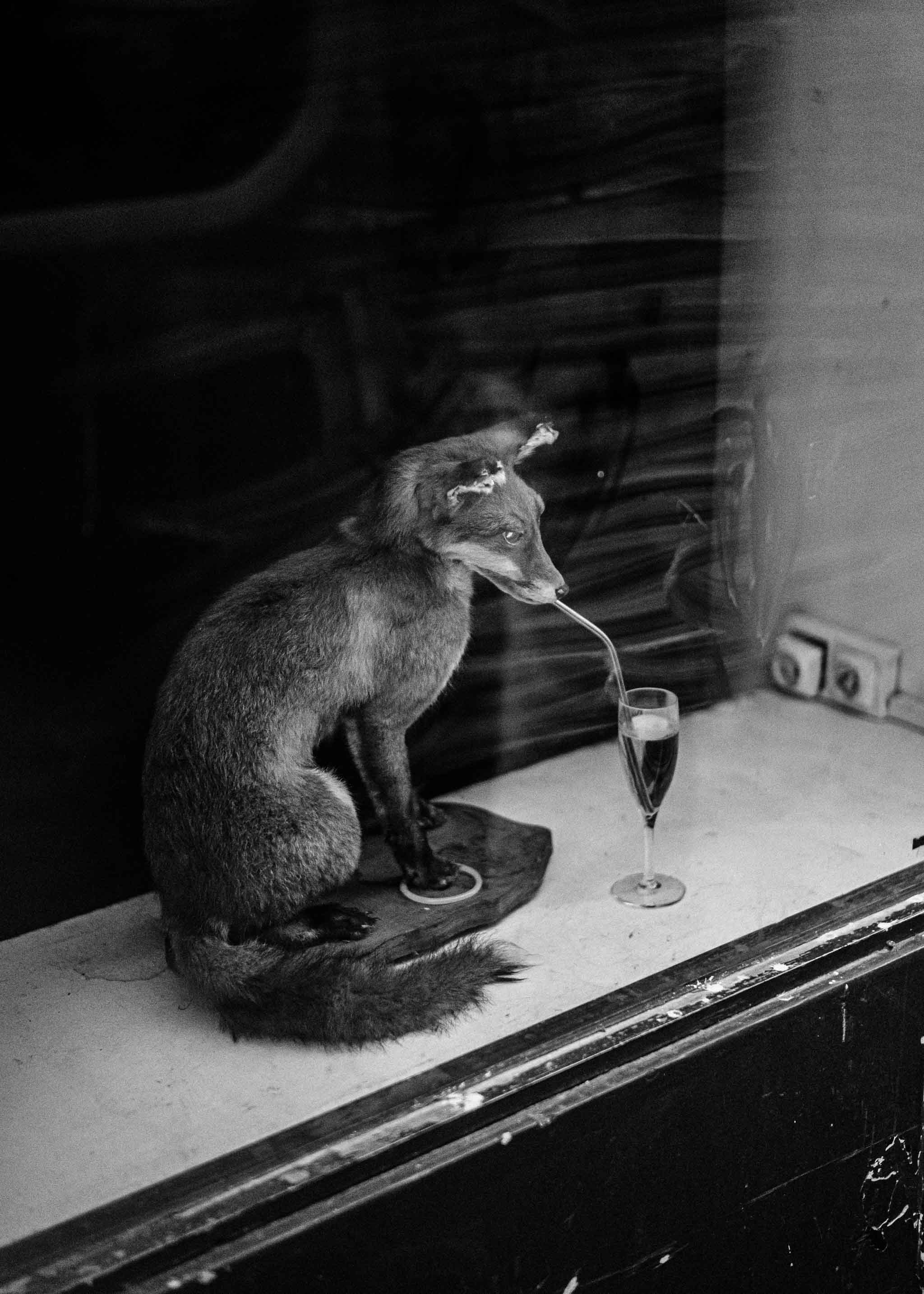 richard-schabetsberger-paris-2022-006