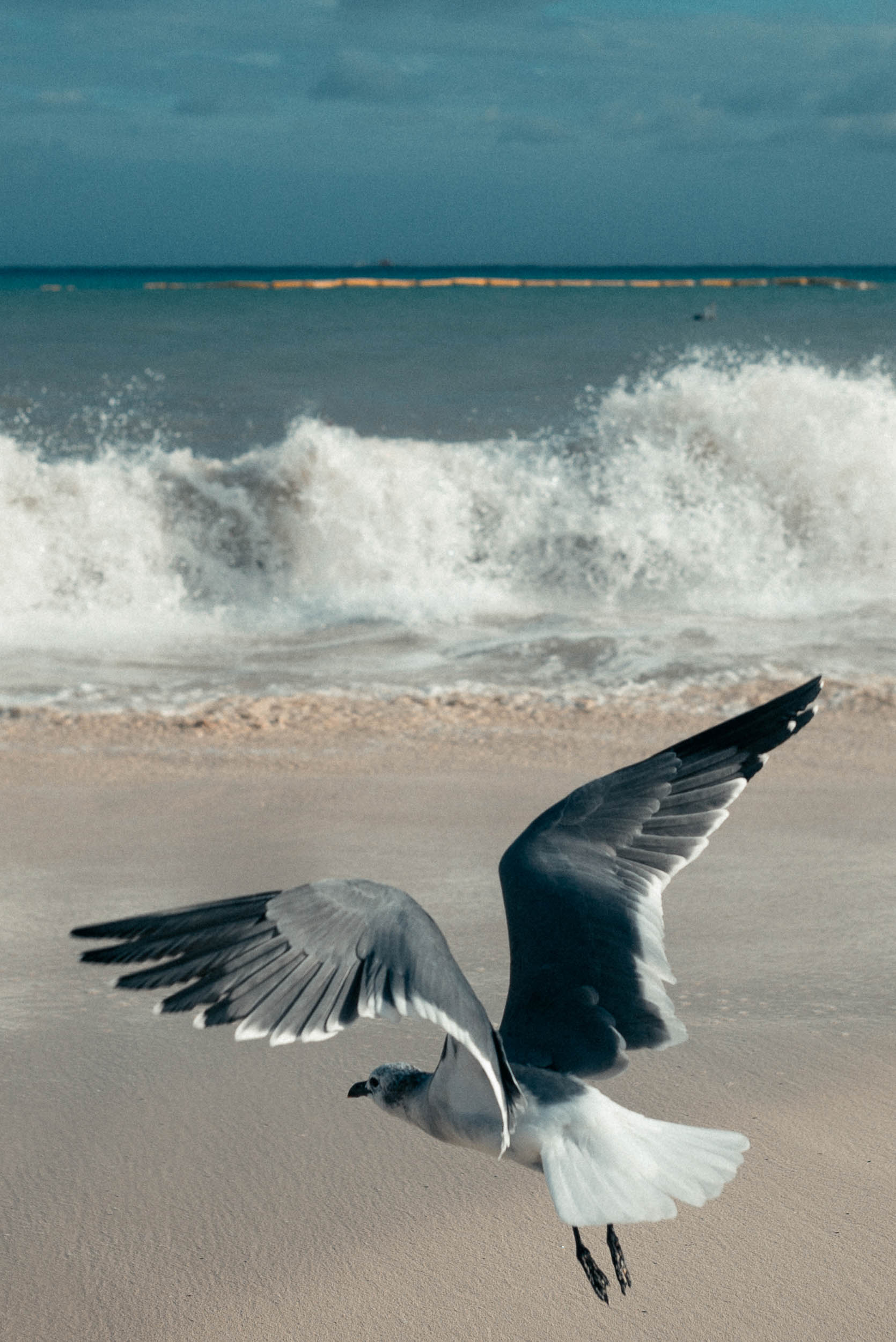 richard-schabetsberger-portfolio-2022-037